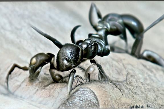 Ant I