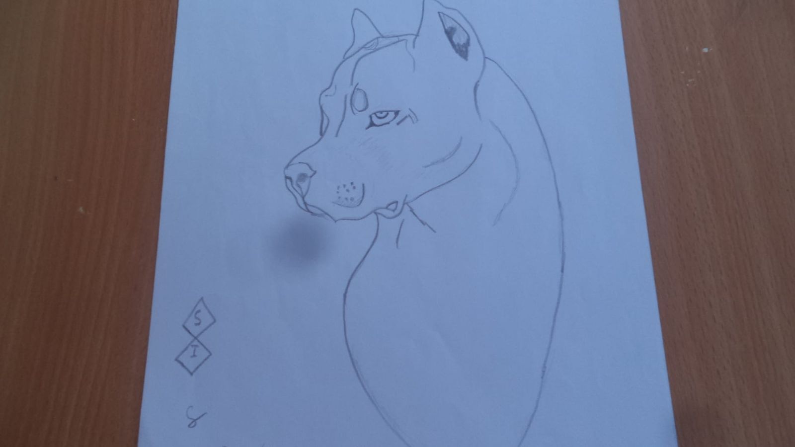 This picture is before and after using (ai)