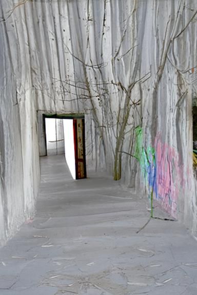 Mind Forest Path