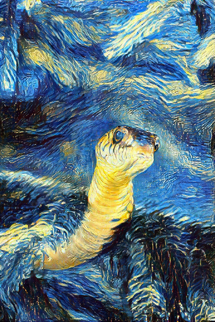 Starry Snake