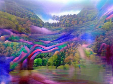 Untitled Creation
