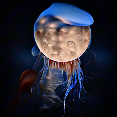 Jellyfish Moon