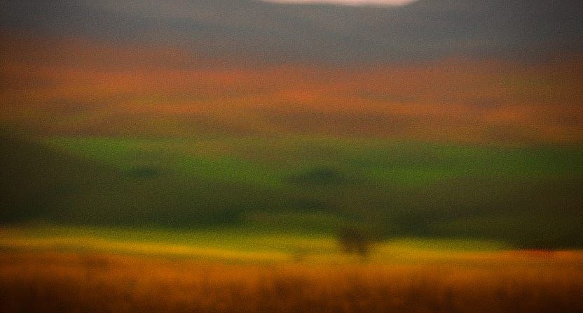 blurry landscape