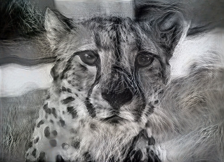 Big cats - AI Generated Artwork - NightCafe Creator