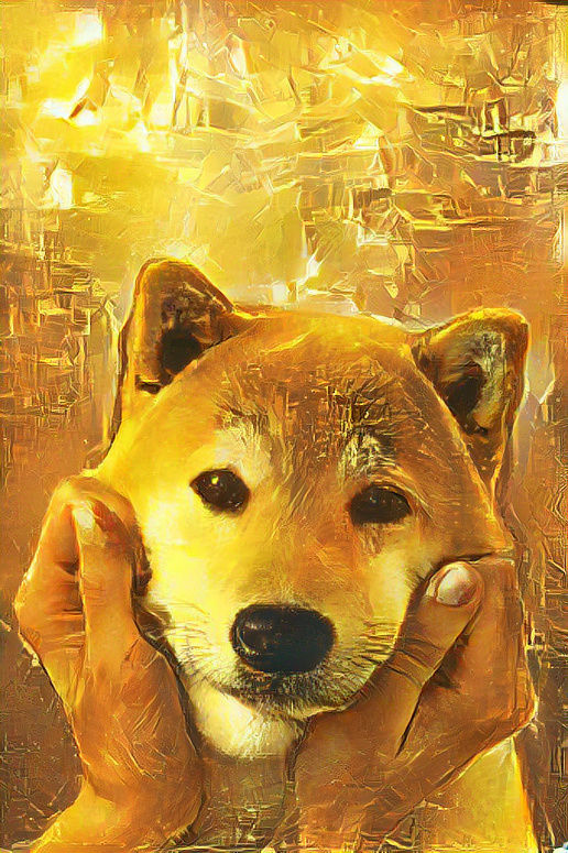 HODL Shiba