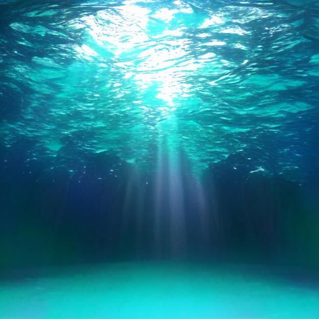 Beauty of under the ocean