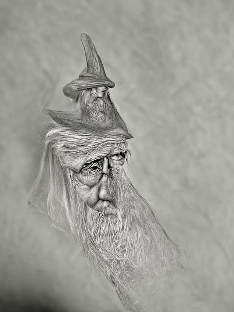 The great old wizard realistic portrait.