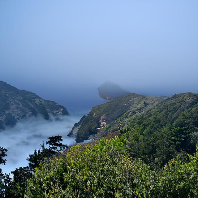 Big Sur in the fog