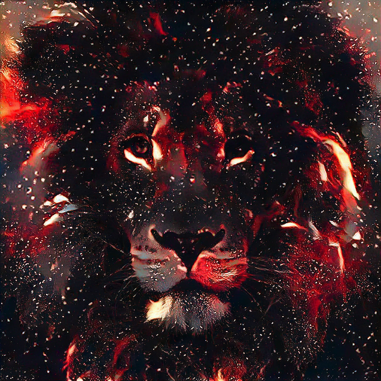 fire lion