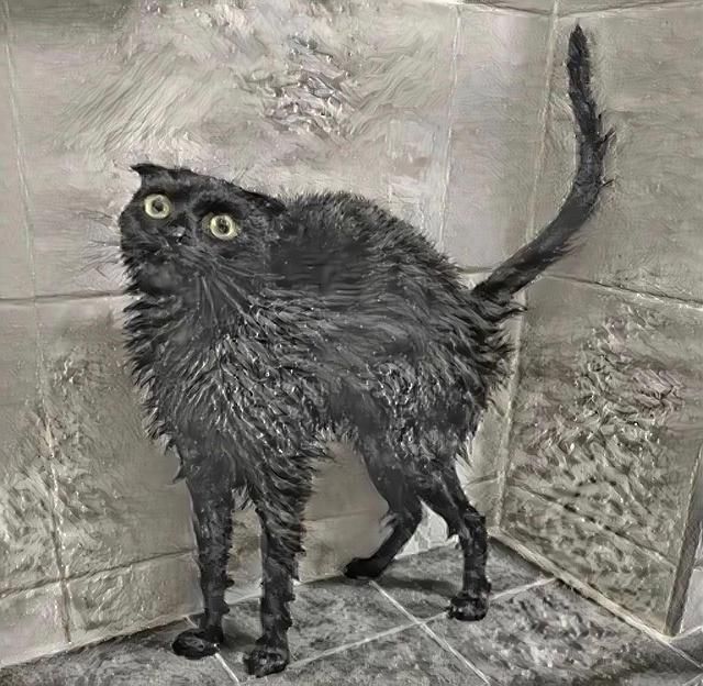 kitty 2