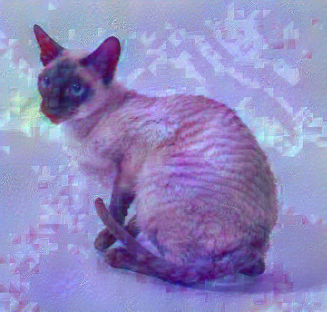 Funky Dream Feline
