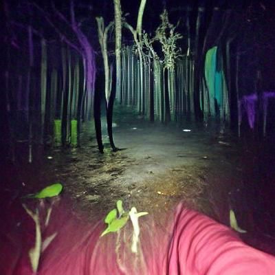 Lost in a haunted forest at night