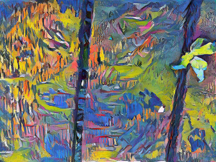 Wildlife Raccoon Prints