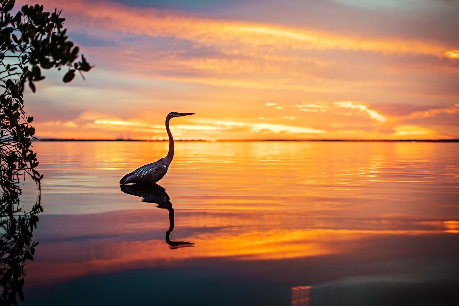 A really cool sunset