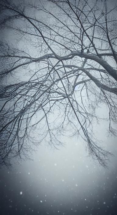 <lora:Nature Love:1.0> Mysterious tree in snowy mountain pass at night 