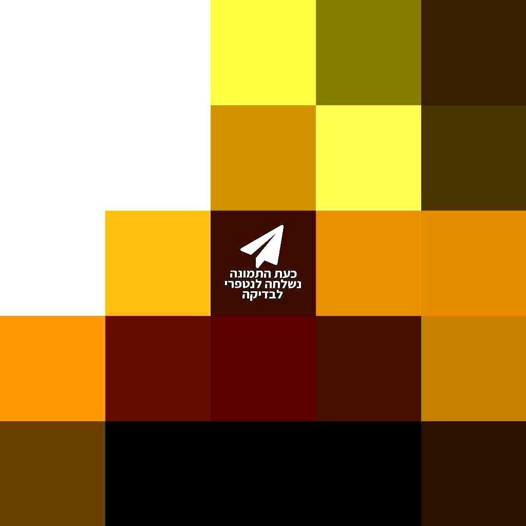 Haredi Boy in Prayer on a Giant Terrapin's Hands