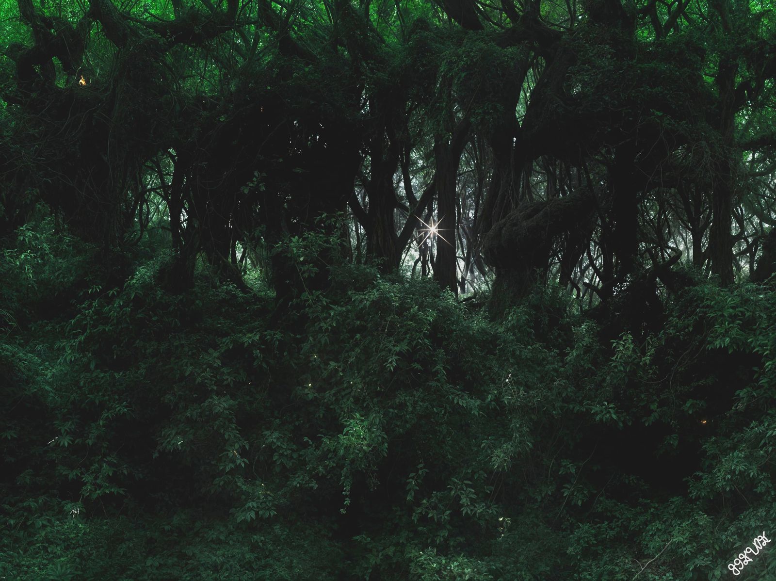 The Memory of Your Light