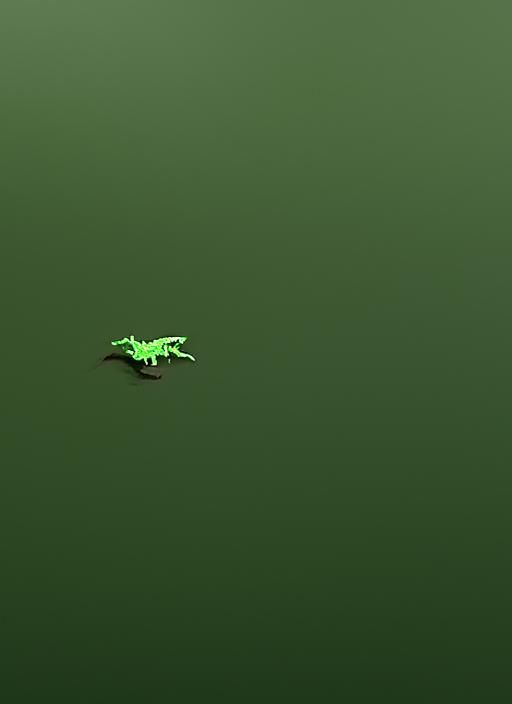 Lonely Cricket