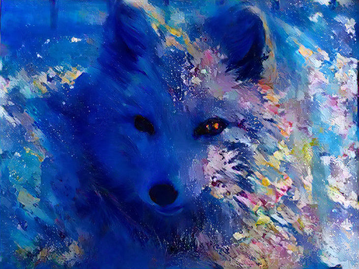 Aurora borealis arctic fox