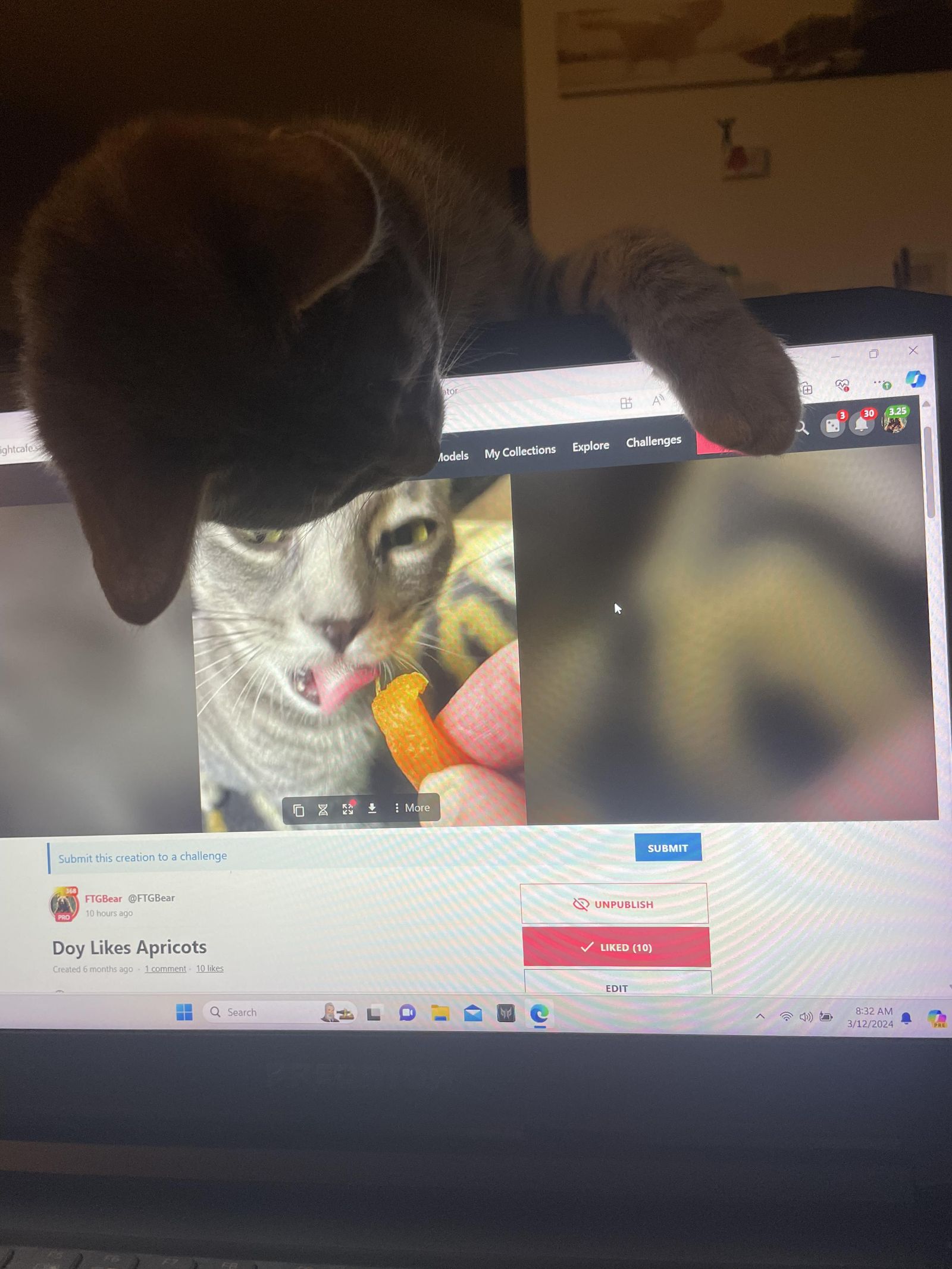 Doy Wants More Likes!