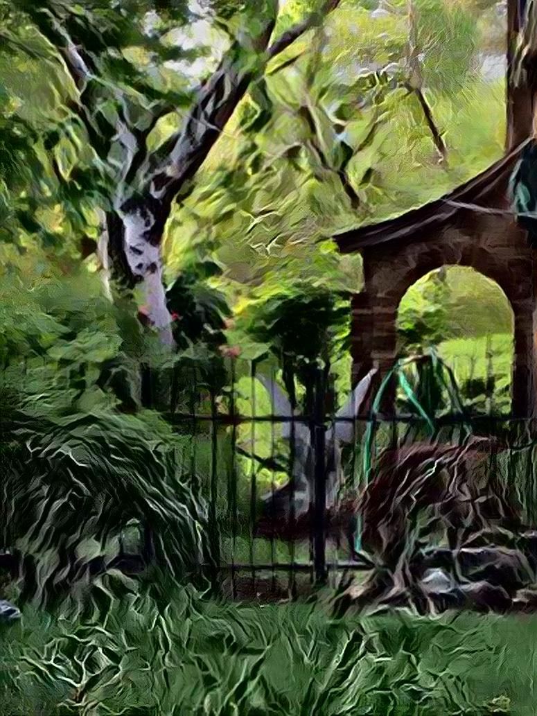 Herb Garden in Summer