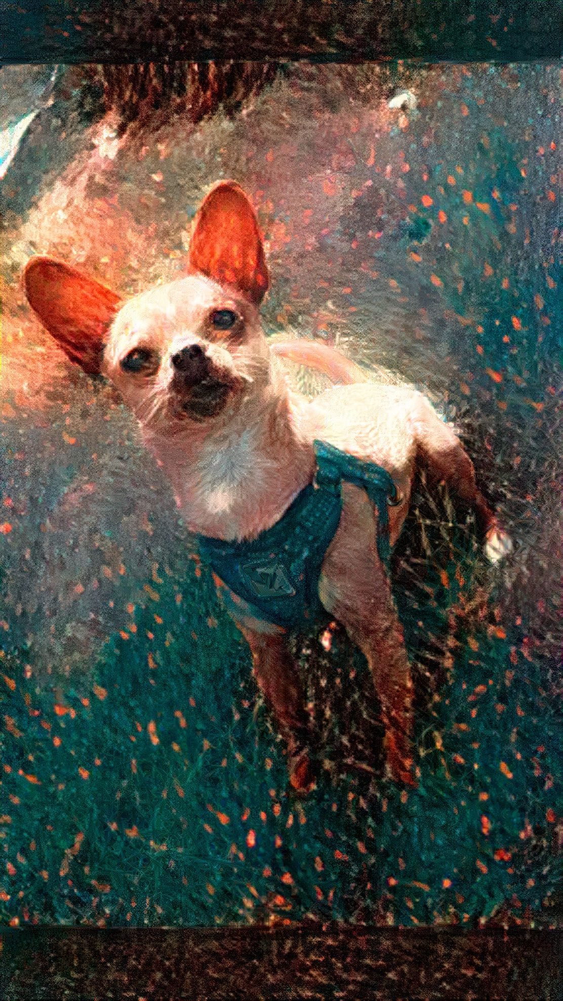 Ottieboy