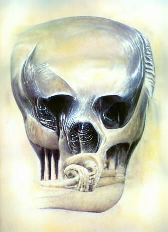 Skull