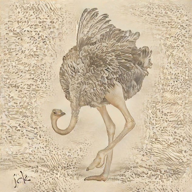 Ostrich in a new coat