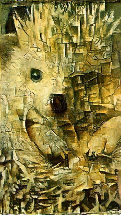 Sherwood Snuffles-Jones Picasso