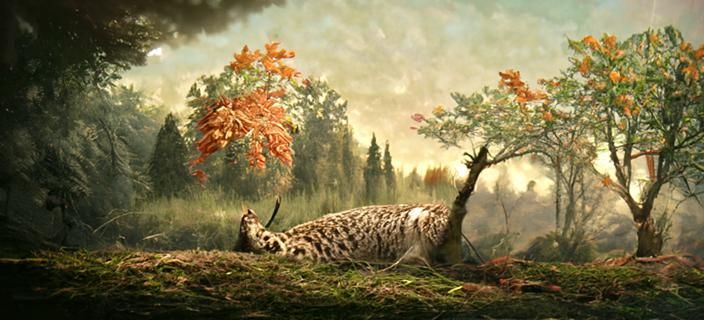 Lynx in autumn forest