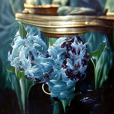 dark and light blue Hyacinth