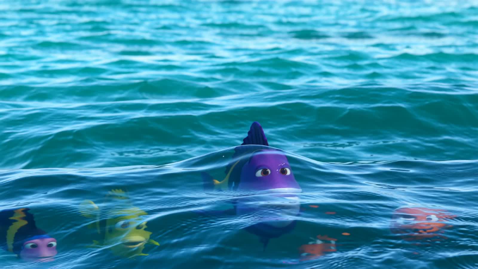 Just some fish having fun.