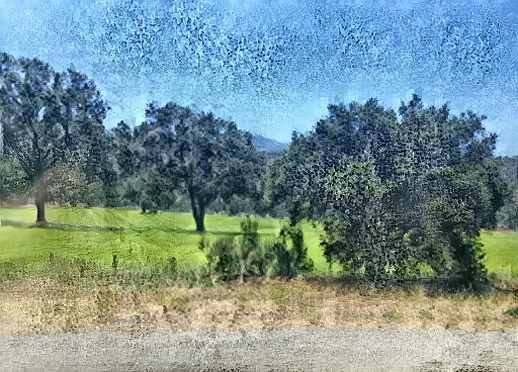 Santa Ynez Hay Field Matisse