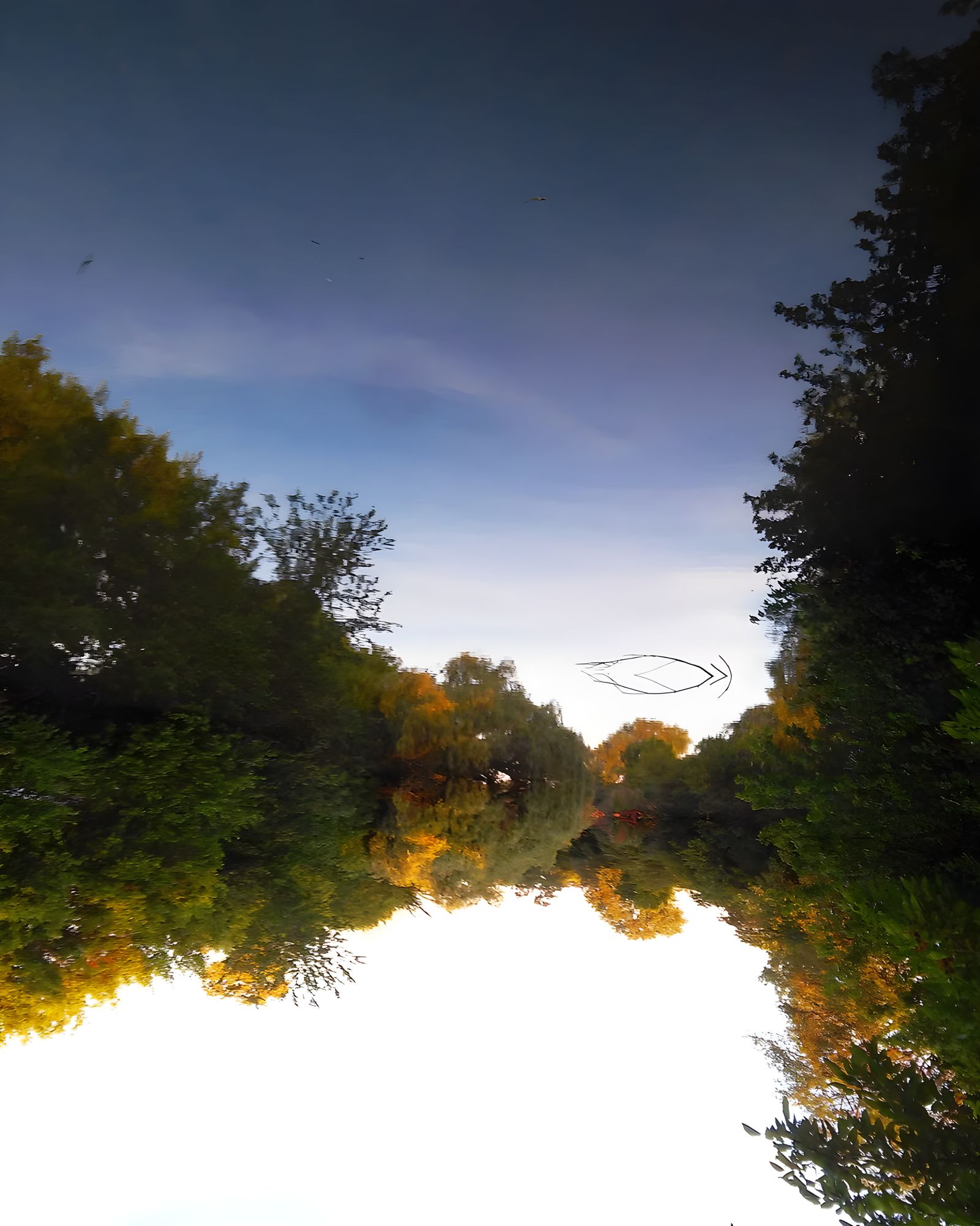 The Ethereal Lochness Monster lives in the “Upside Down”