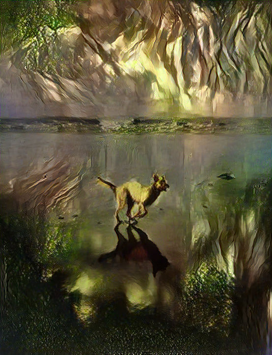 Fractured Reality Of The Dog