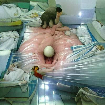 Miracle of birth