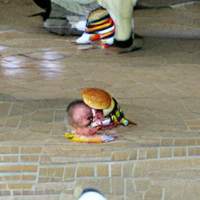 Hamburger Eating Baby