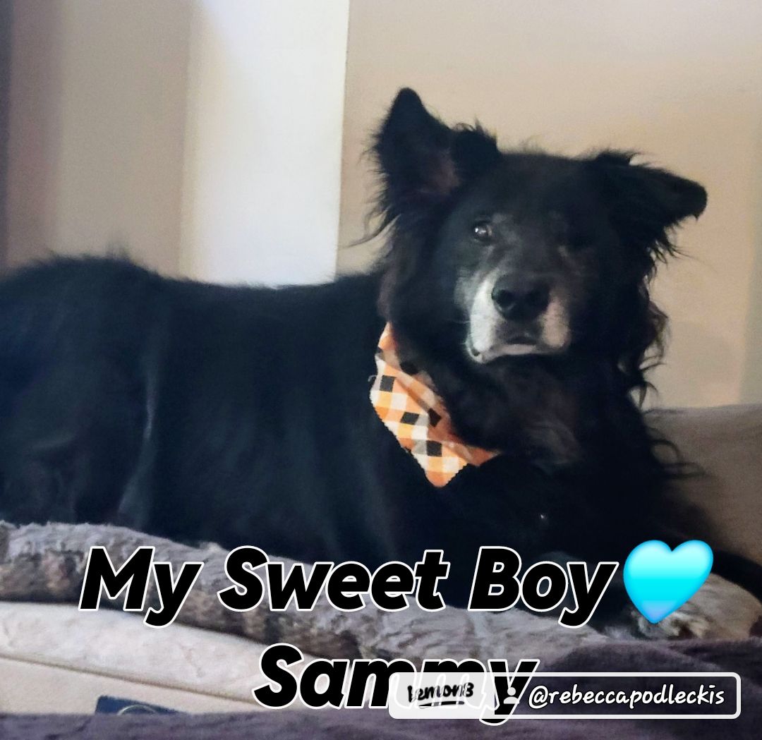 I lost my best friend 💔🙏😢🐾🐾