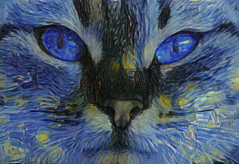 Blue cat