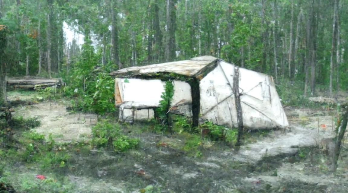 Abandoned military tent in forest