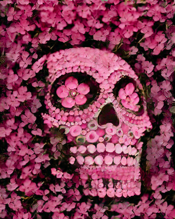 Pink skull