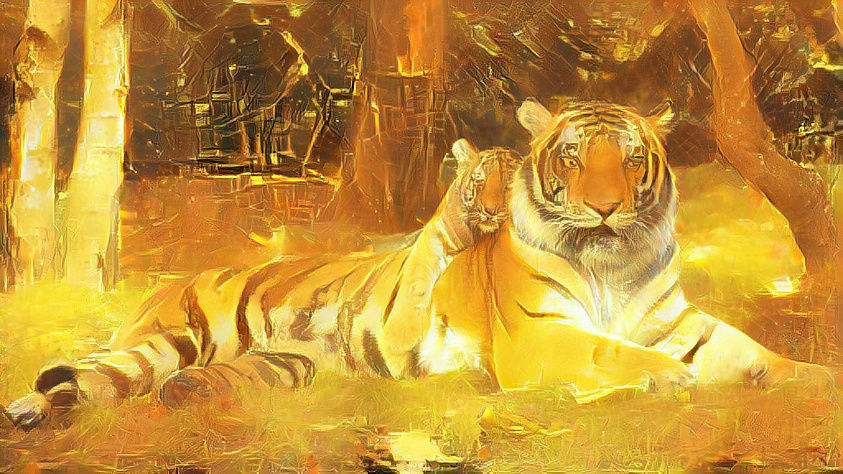 tiger