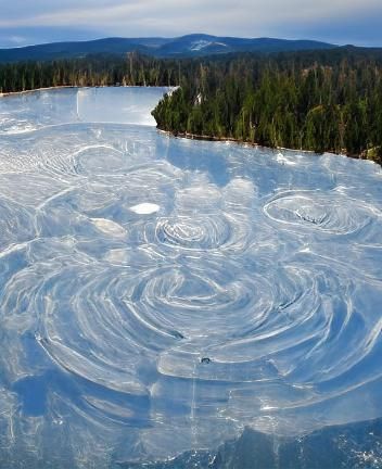 A sky view of circular ice formations on a mirror lake surrounded by a forest