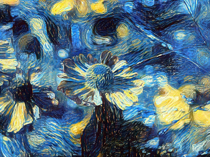 a starry flower