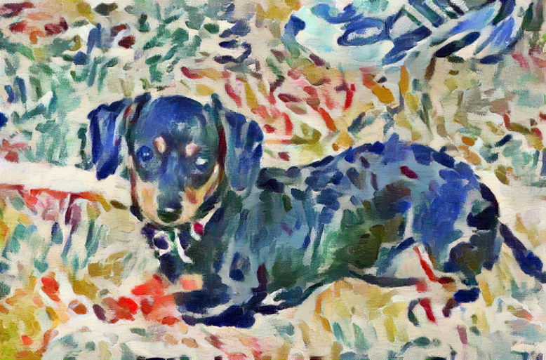 chiweenie