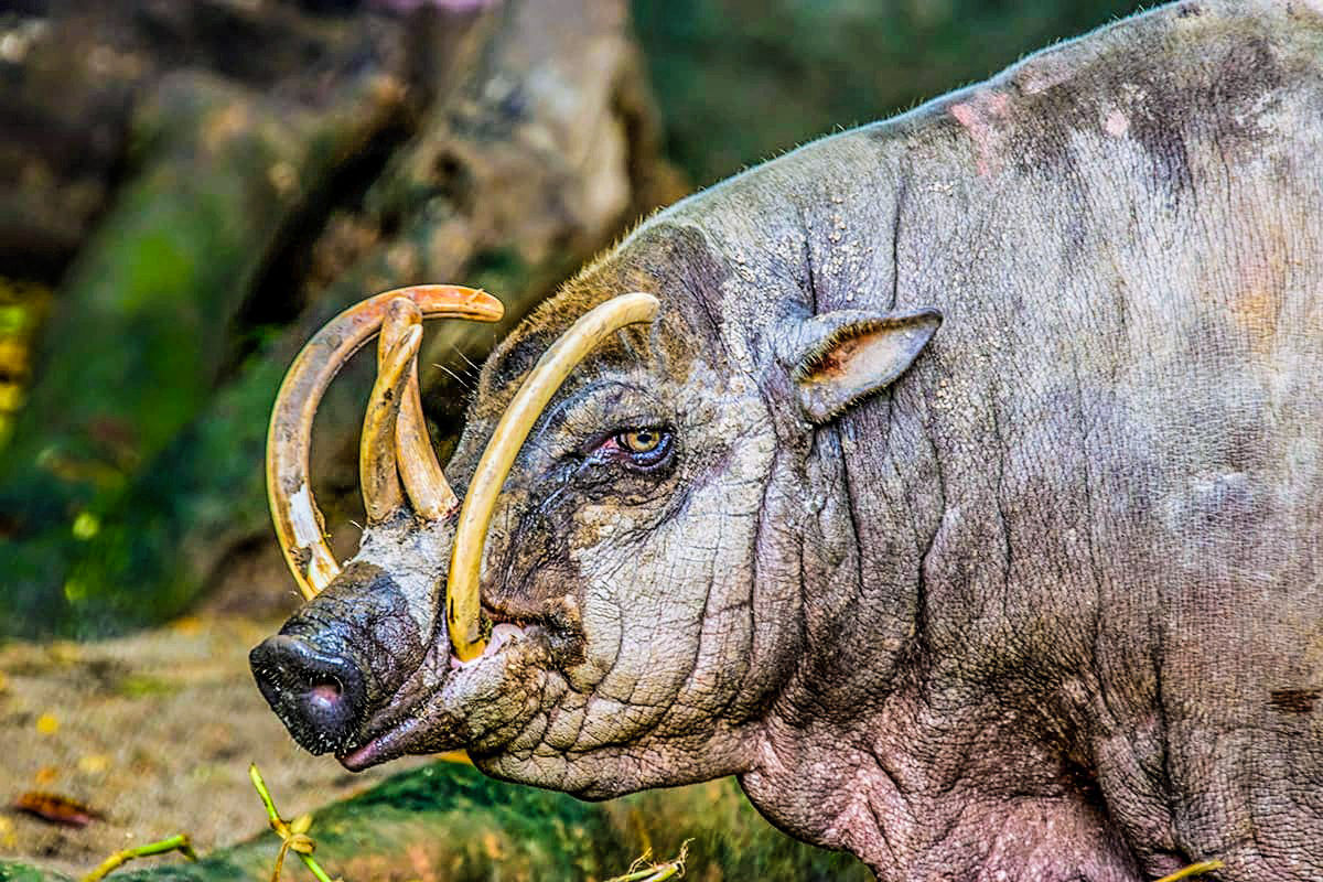 It's No Beauty Contest! 😂