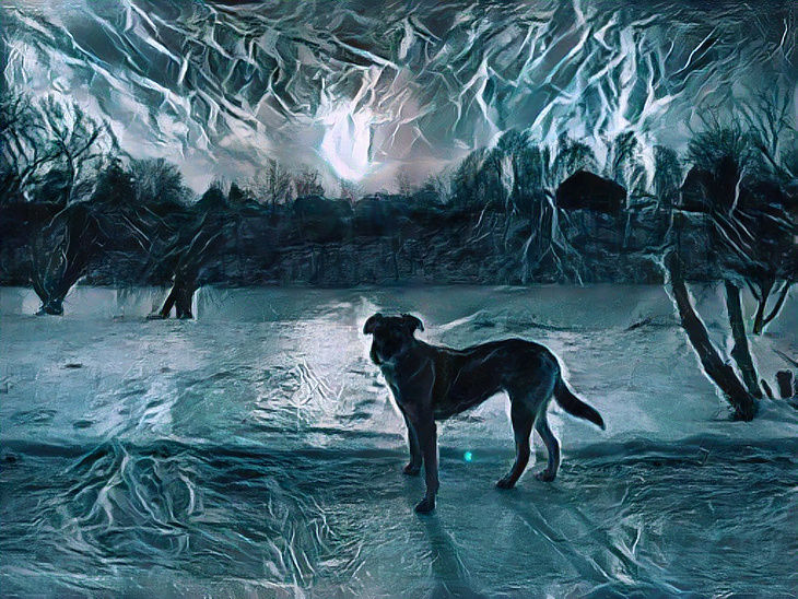 Pup on snow next to frozen pond