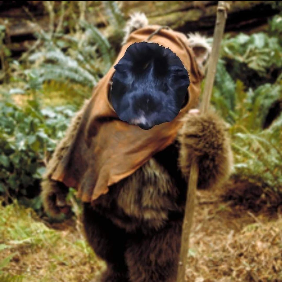 May the 4th be with YOU!