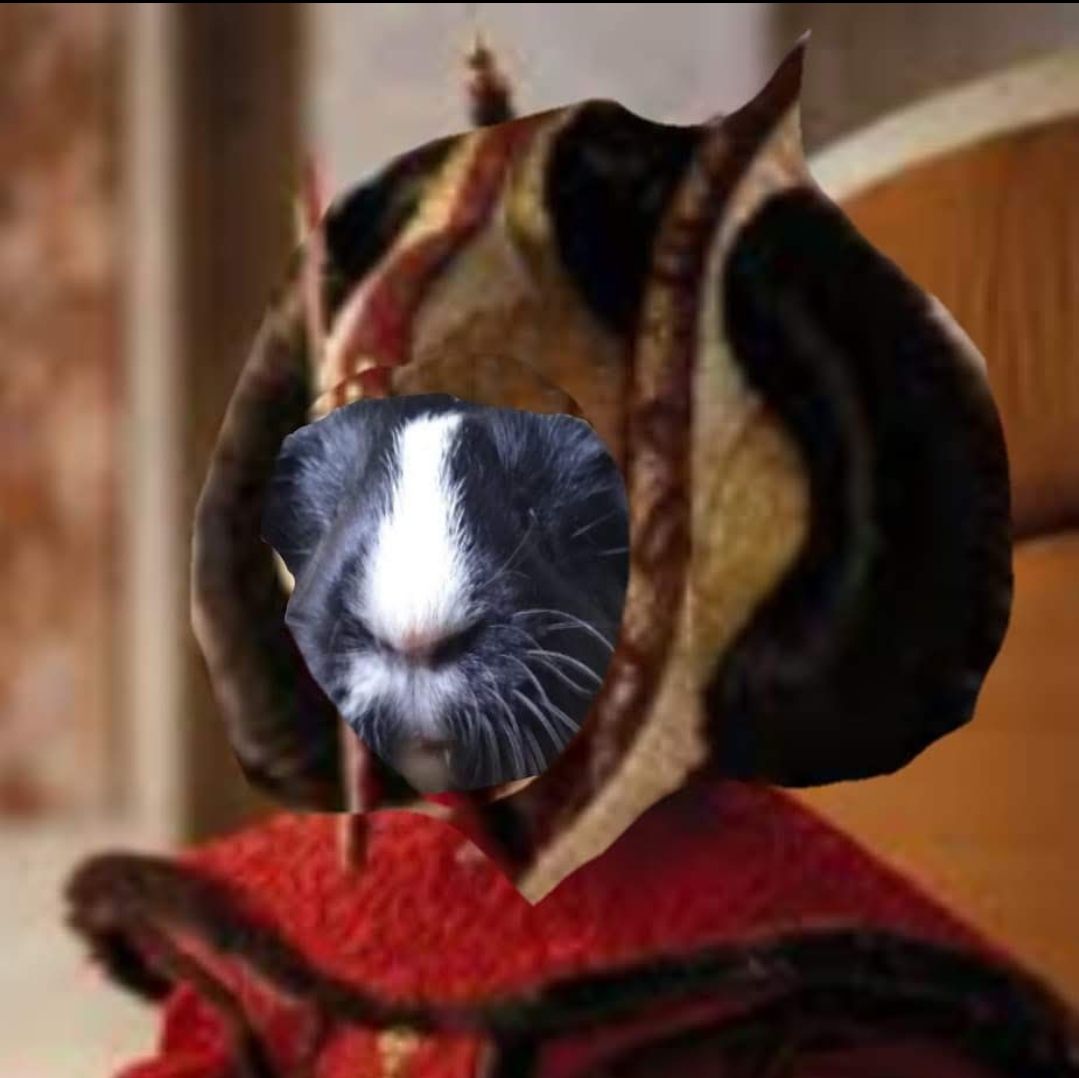 May the 4th be with YOU!