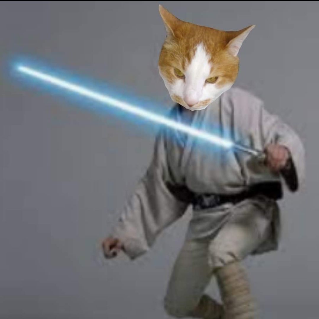 May the 4th be with YOU!